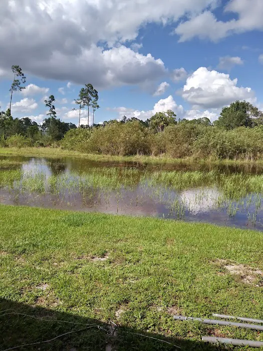 Big Cypress Indian Reservation Picture 2