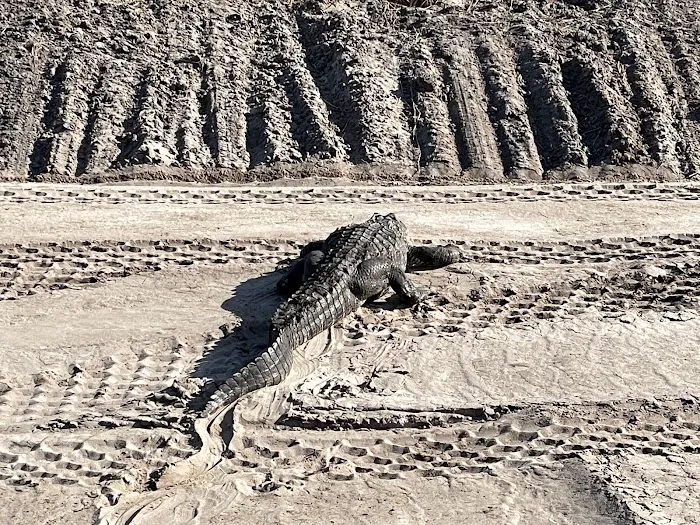 Big Cypress Indian Reservation Picture 7