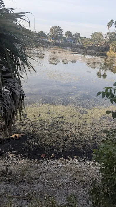 Quiet Waters Campgrounds Picture 2