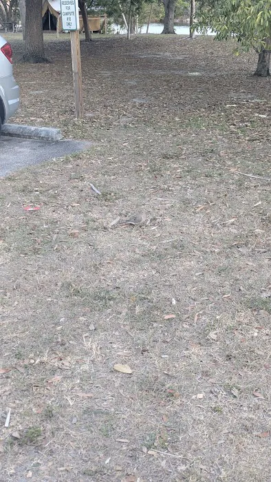 Quiet Waters Campgrounds Picture 6