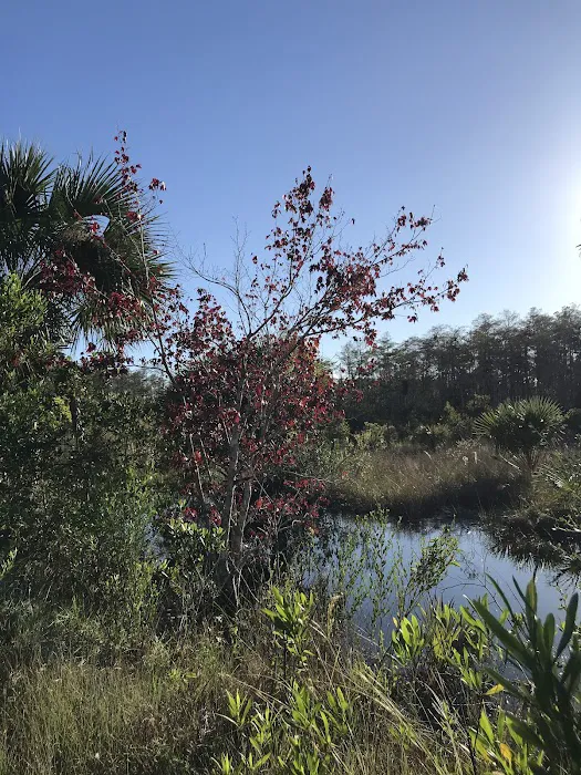 Nobles Camp Picture 3