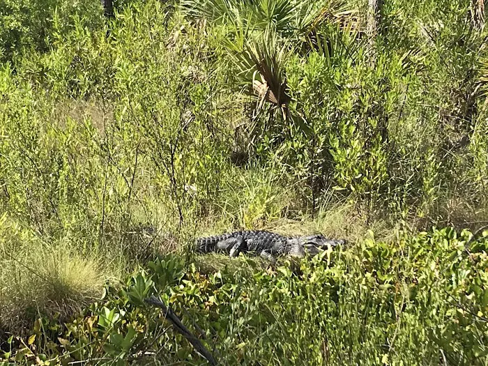 Nobles Camp Picture 5