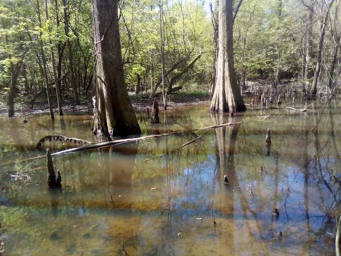 Moodys Landing Picture 5