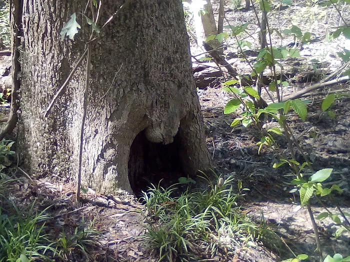 Moodys Landing Picture 4