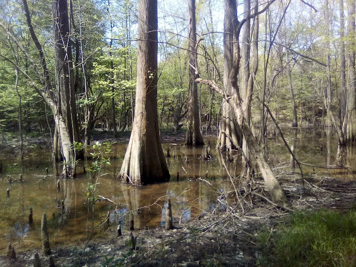 Moodys Landing Picture 8