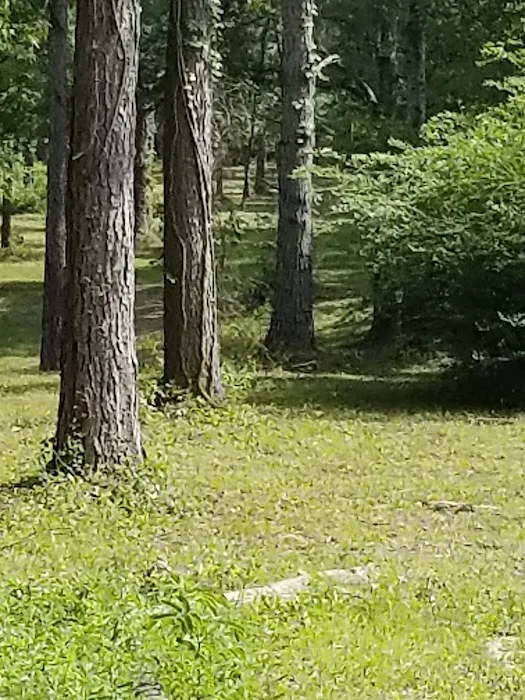 Hobbithillsvacationrentals.com Picture 6