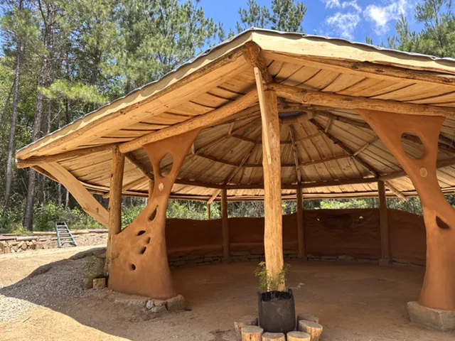 All You Need Institute Picture 3