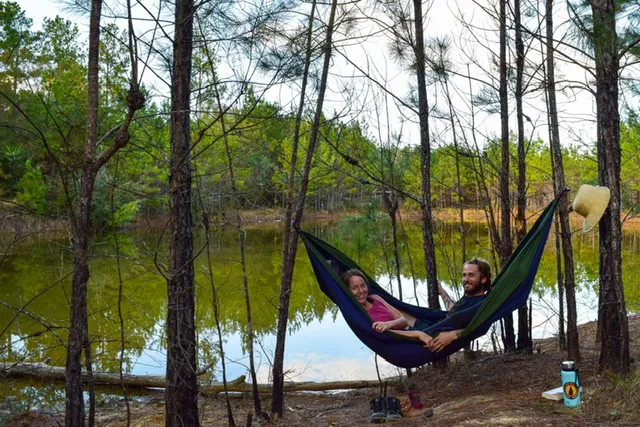 All You Need Institute Picture 2