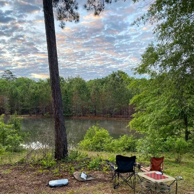 All You Need Institute Picture 1