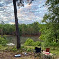 All You Need Institute ico