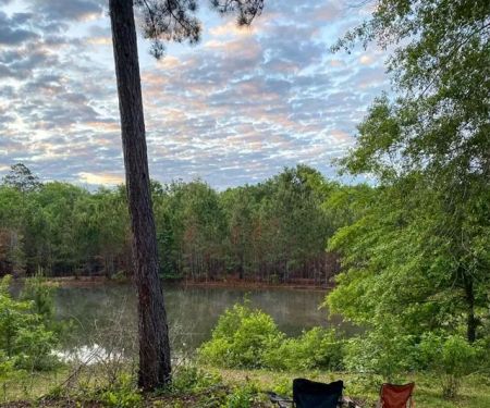 All You Need Institute