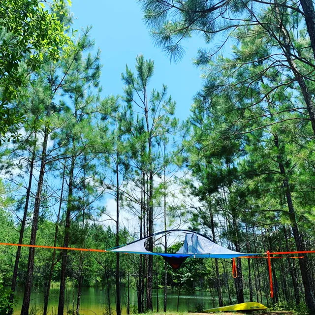 All You Need Institute Picture 4