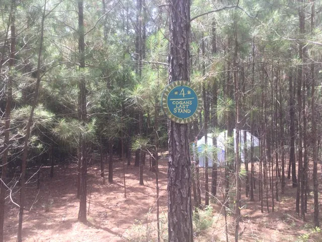 All You Need Institute Picture 9