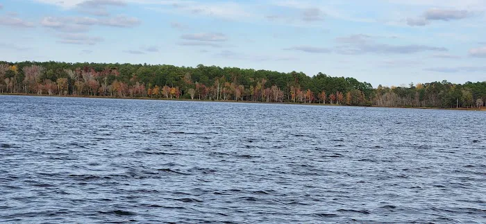 Black Creek RV Park Picture 1