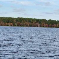 Black Creek RV Park ico