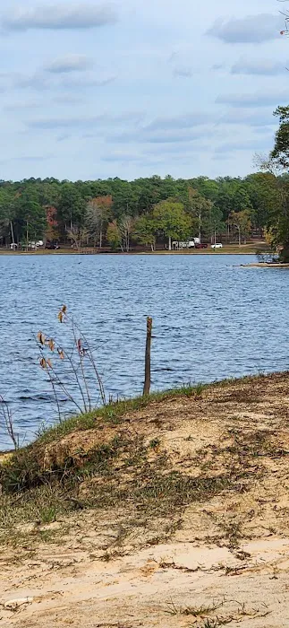 Black Creek RV Park Picture 3