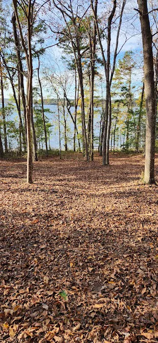 Black Creek RV Park Picture 2