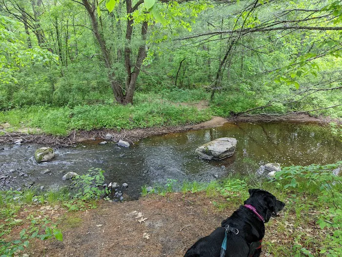 Lindbergh State Park Campground Picture 5