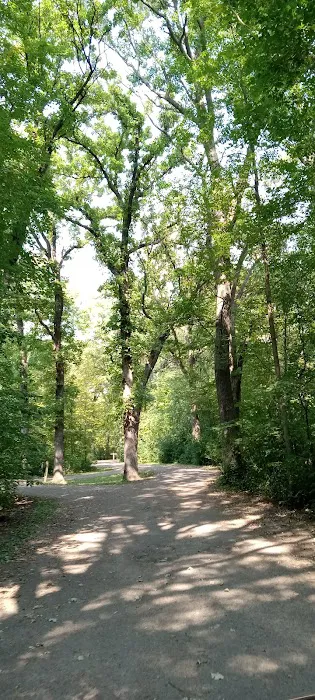 Lindbergh State Park Campground Picture 6