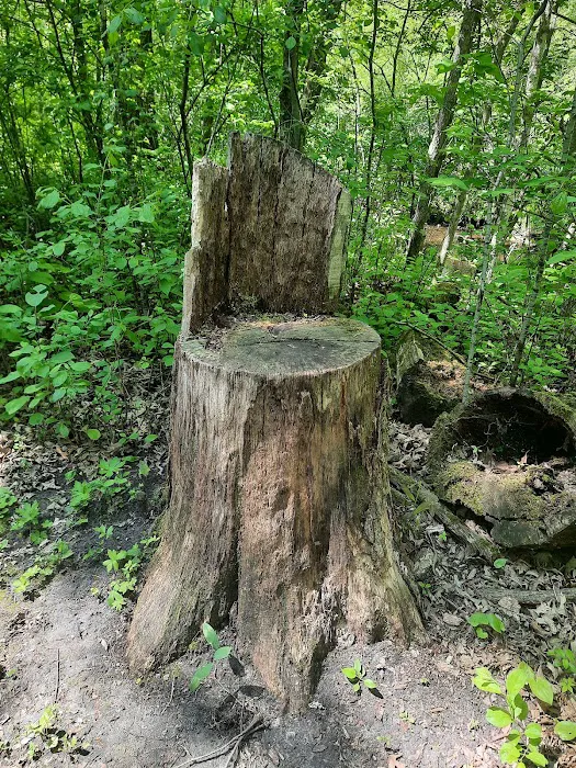 Lindbergh State Park Campground Picture 9
