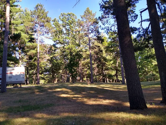 Deparcq Woods Campground Picture 2