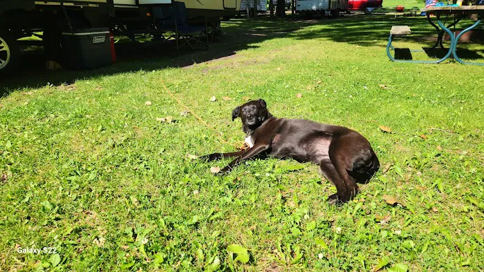 Camp S'more Campground Picture 9