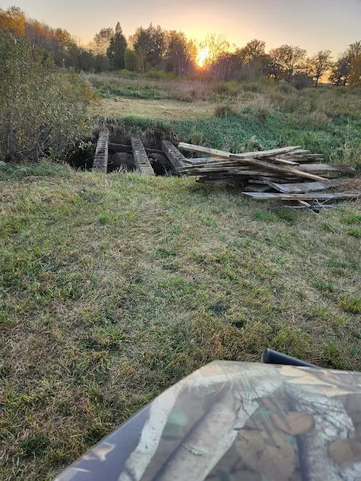 Grumpy's Out-back Campground Picture 3