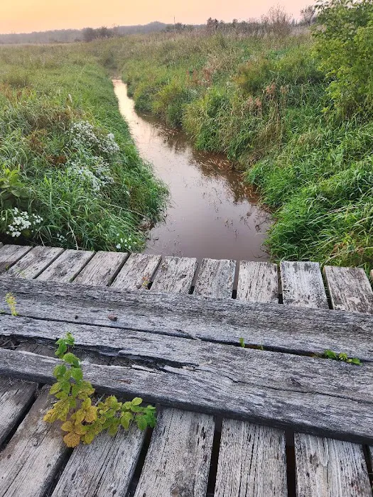 Grumpy's Out-back Campground Picture 8