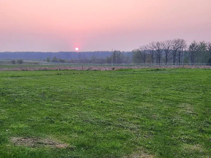 Grumpy's Out-back Campground Picture 9