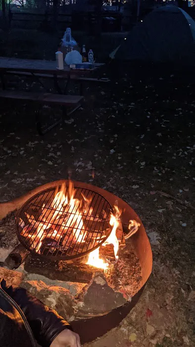 Shady Oaks Campground Picture 5