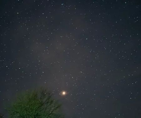 Shady Oaks Campground