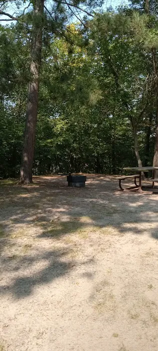 Crow Wing State Park Campground Picture 4