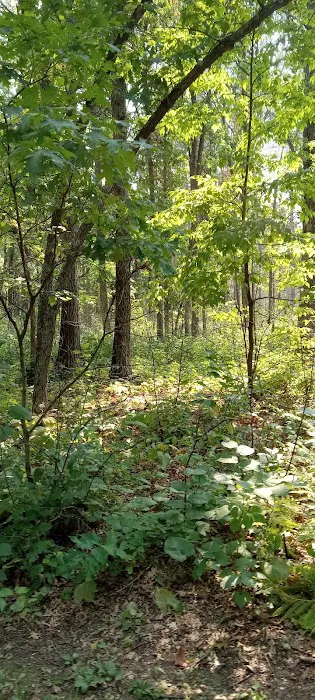 Group Camp Picture 3