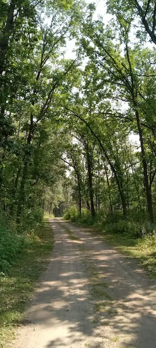 Group Camp Picture 2