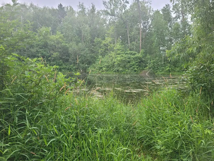 Portsmouth Campground Picture 9