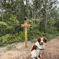 Cuyuna Range Campground ico