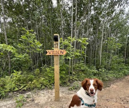 Cuyuna Range Campground