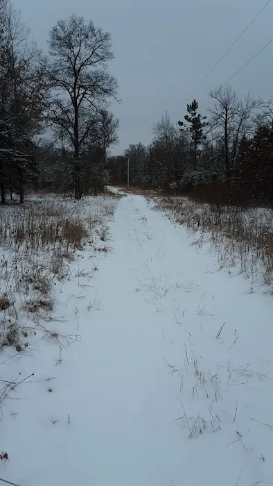 Fools Lake Campground Picture 5