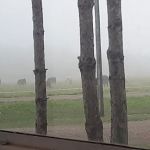 Gun Lake Family Campground