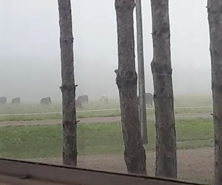 Gun Lake Family Campground