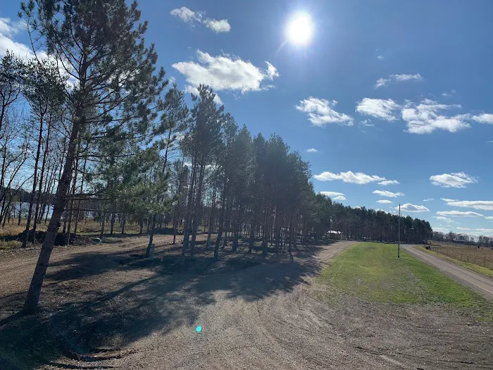 Gun Lake Family Campground Picture 5