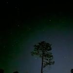 RuisCamp Private Property