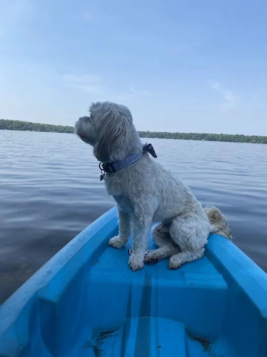 Cabin Rental Picture 1