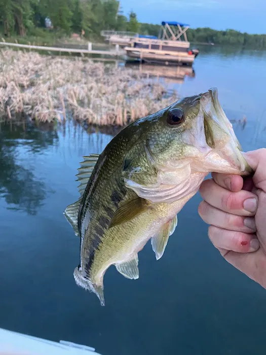 Cabin Rental Picture 4