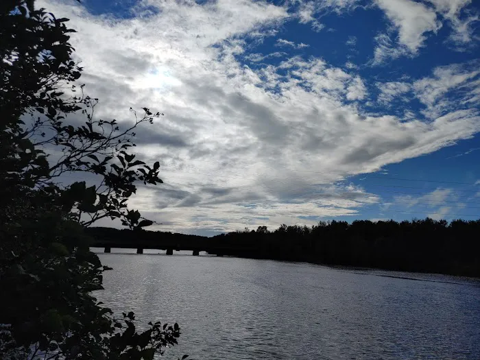 Spafford Park Campground Picture 3