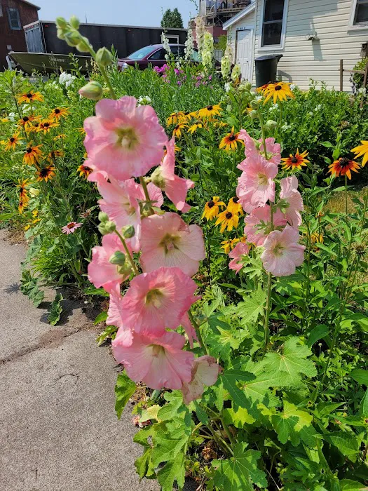 Spafford Park Campground Picture 9