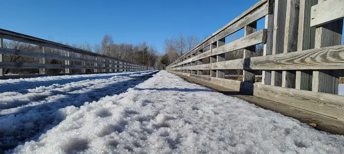 Spafford Park Campground Picture 10