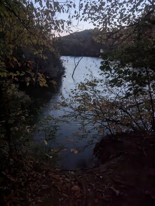 Brickyard Hill Campground - Notth Picture 7