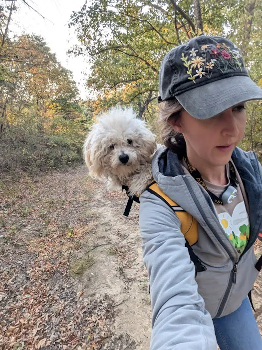 Brickyard Hill Campground - Notth Picture 10