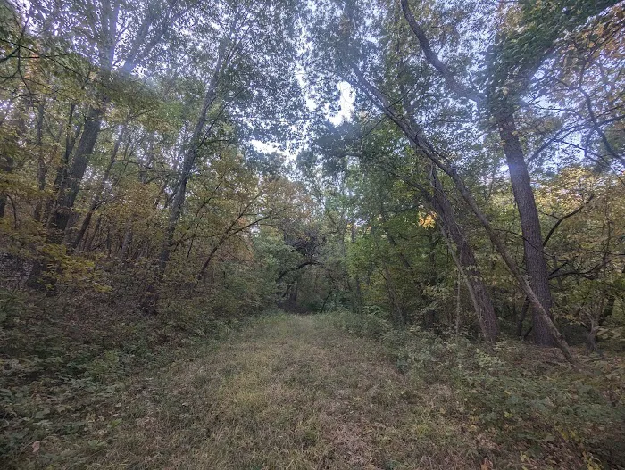 Brickyard Hill Campground - Notth Picture 5